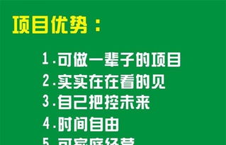 印象数码加盟怎么样？让我们来探讨一下