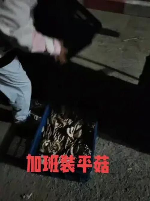 做什么致富靠双手