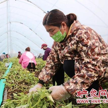 许昌致富项目丰富，涵盖多个领域