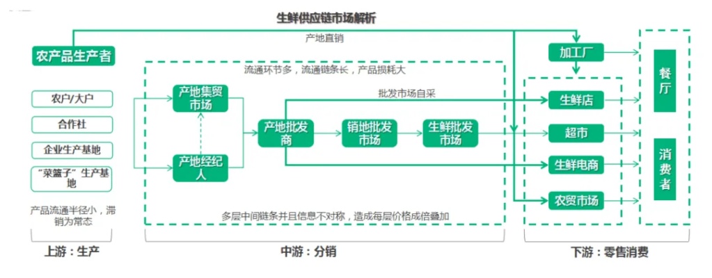 蔬菜供应链创业方向有哪些