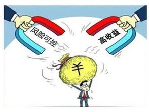 过去什么投资少致富多