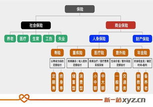 创业型保险公司有哪些类型