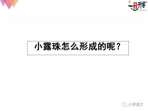 羊小咩能套现吗,羊小咩能否套现？解析与警示