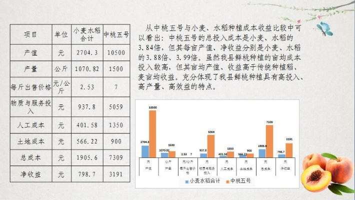 2015年的致富项目分析