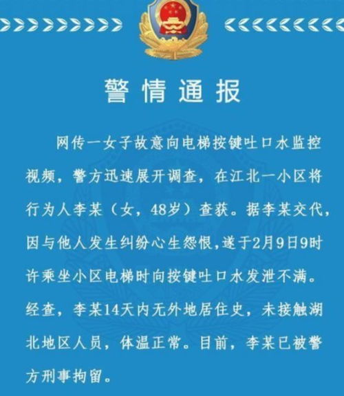 羊小咩怎么套现啊,羊小咩套现指南，违法行为的警示与剖析