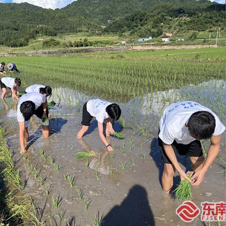 三明环保装修品牌，绿色筑家，共筑美好未来