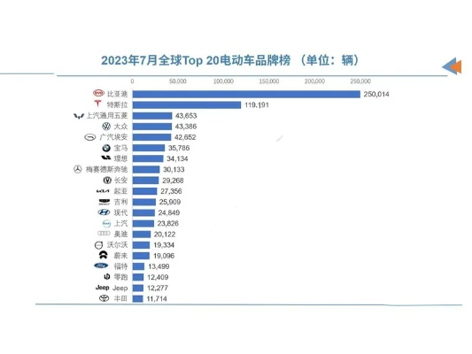 全球电动汽车市场，进口品牌排名解析