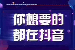 郑州抖音月付套出来秒回,郑州抖音月付套现秒回攻略，让你轻松应对资金紧张！