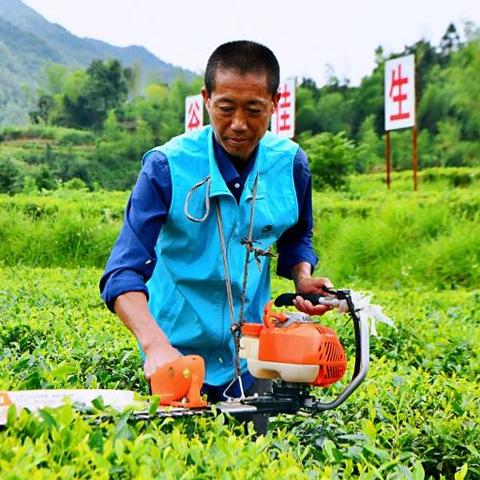 常宁的创业机遇与挑战，探索适合的赚钱方式