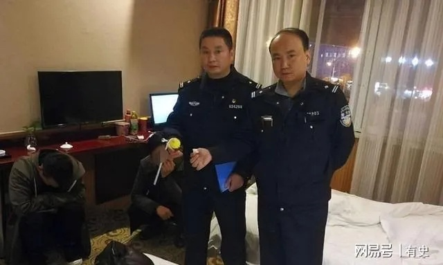 麻城警察查酒店记录查询,麻城警察查酒店记录查询，背后的故事与细节解析