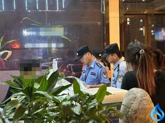 麻城警察查酒店记录查询,麻城警察查酒店记录查询，背后的故事与细节解析