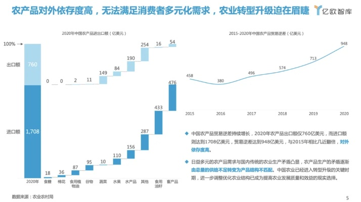 致富产业的多样化发展与未来趋势