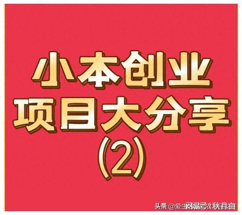 小项目致富之道，从创意到财富