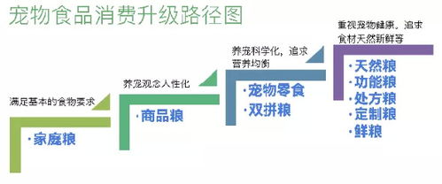 全球餐饮巨头的荣耀与挑战，国际餐饮品牌排行榜全景解读