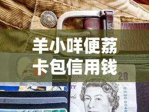 羊小咩便荔卡包怎样提现,羊小咩便荔卡包提现攻略，轻松掌握，便捷使用