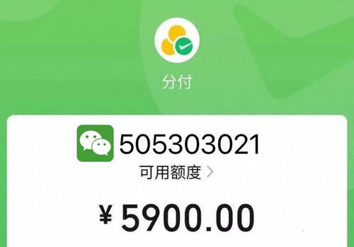 微信分付套出来5个点的,微信分付套现攻略