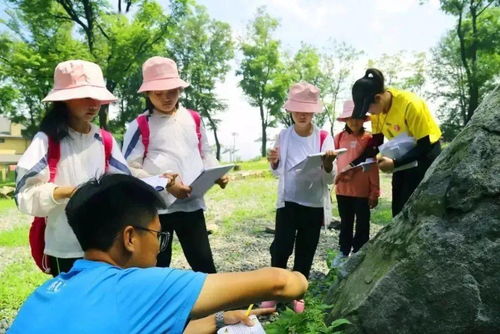 探索户外装备之都——韩国的户外品牌与创新之旅