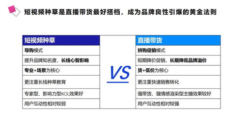 构建医药品牌名称的黄金法则，策略与实践