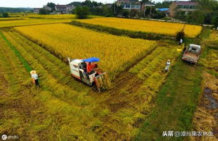 苏北农村的致富之路，从传统农业到现代化产业