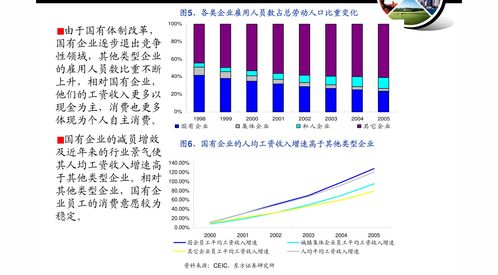 打造特色医药品牌——创新与责任的交响曲