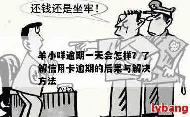 羊小咩额度怎么没有了,羊小咩额度消失之谜，原因、解决方法及案例分析