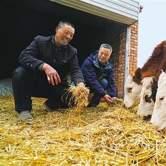 得胜村的发展之路——从传统农业到生态旅游的转型