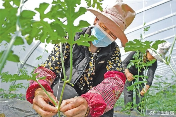 农民致富的最后依靠，科技与创新