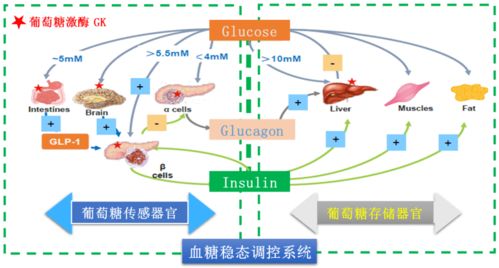 构建医药品牌的五大战略路径