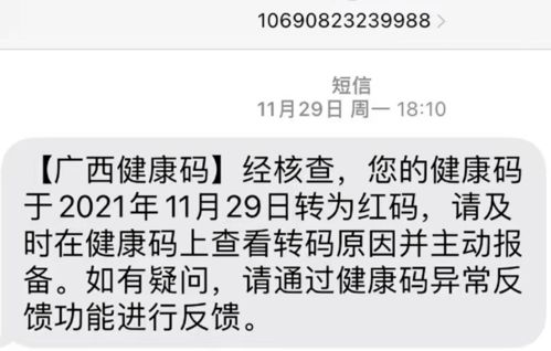 黄码指定酒店怎么查记录,黄码指定酒店怎么查记录，实用指南与案例解析