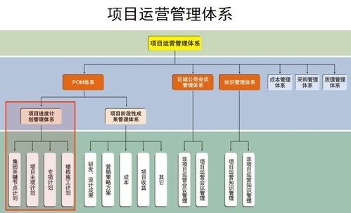 创业资源的详细分类与项目分析