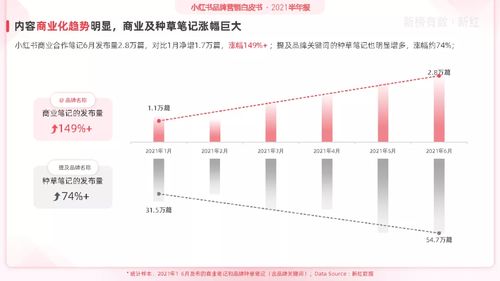 家电品牌营销策略，打造竞争优势与市场影响力