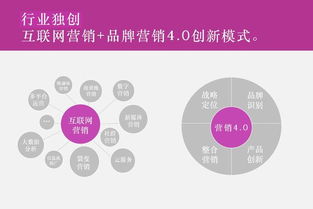 家电品牌营销策略，打造竞争优势与市场影响力