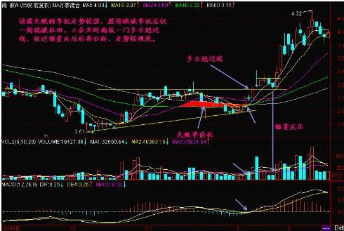 财务自由后的投资选择与赚钱策略